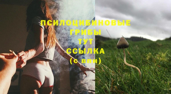 mix Абинск